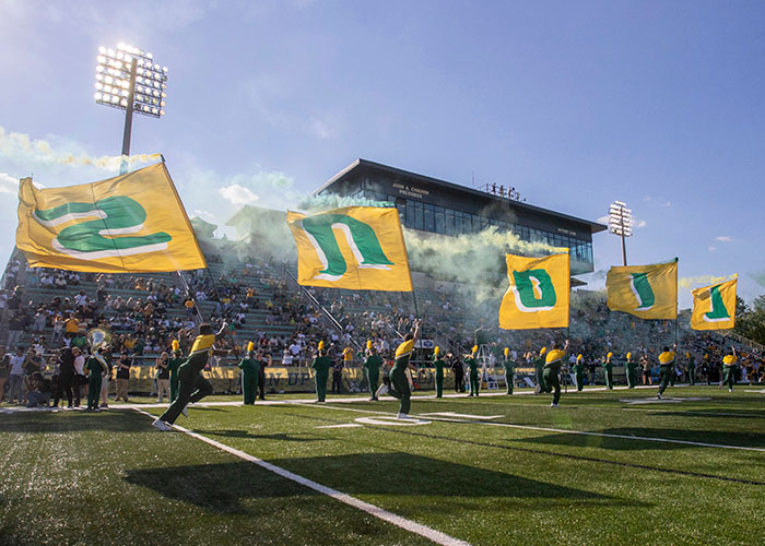 Lions flags in Strawberry Stadium