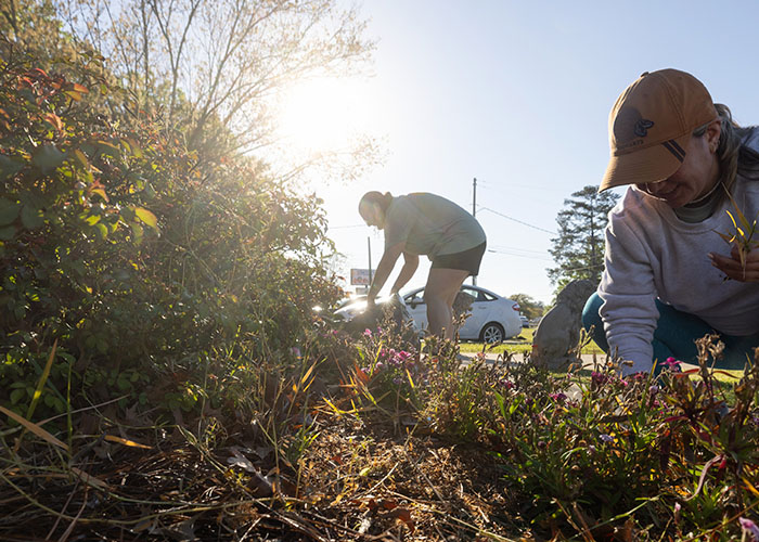 Students working in garden